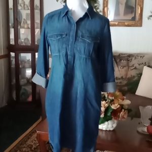 Comfy and casual denim dress